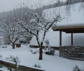 Scenic Holiday Home in Medebach-Dreislar with Roofed Terrace